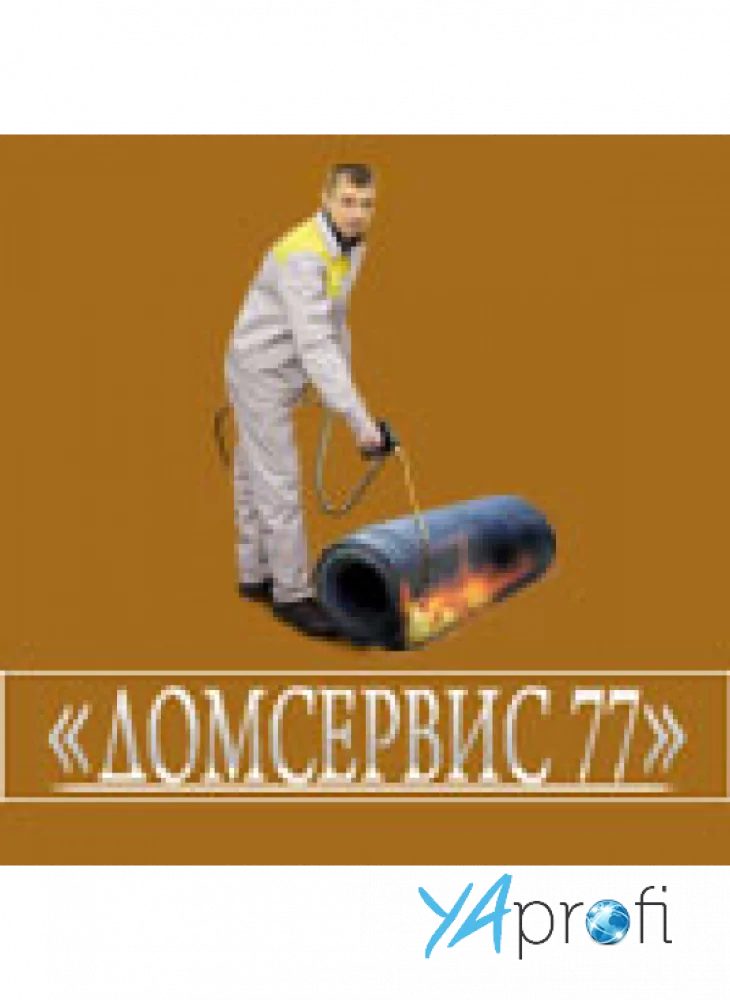 Домсервис 77