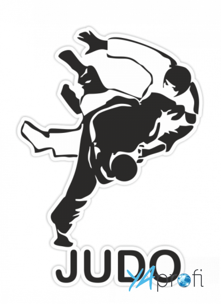 Секция «Дзюдо и Самбо»