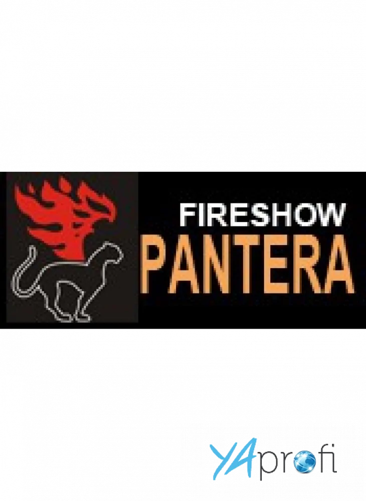 Fireshow PANTERA