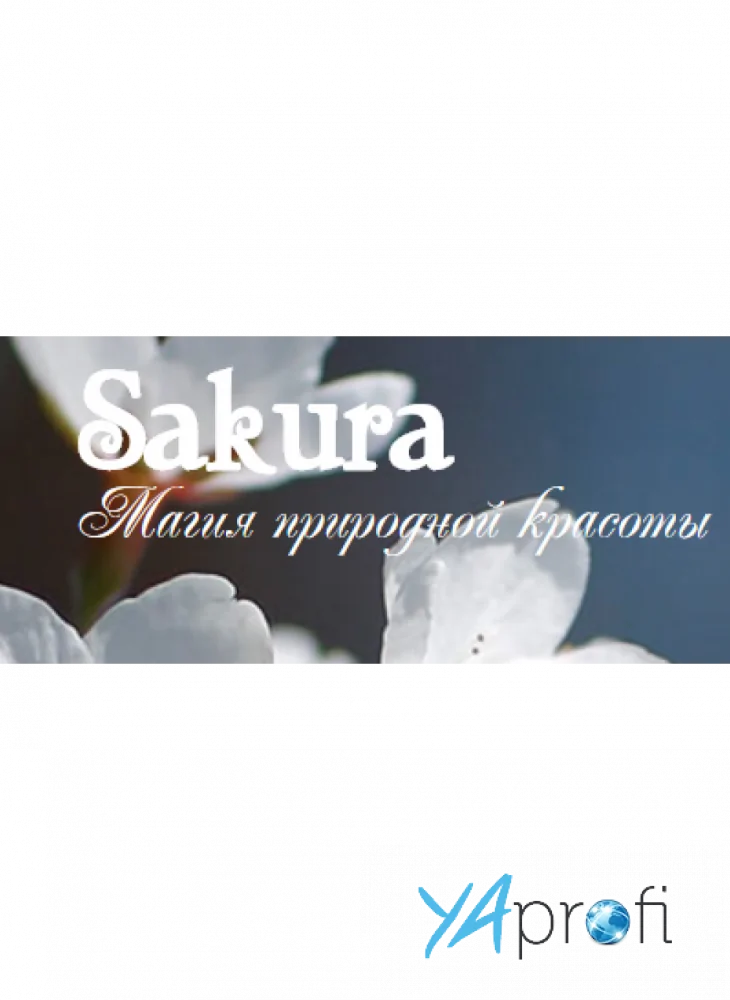 Sakura