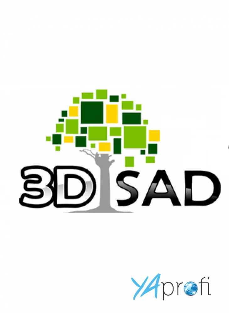3D SAD