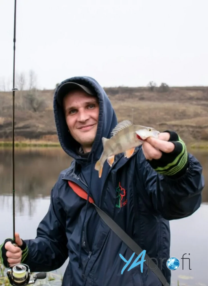 Философия Вкуса