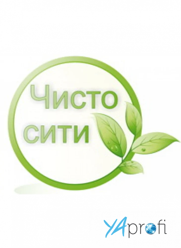 Чисто Сити