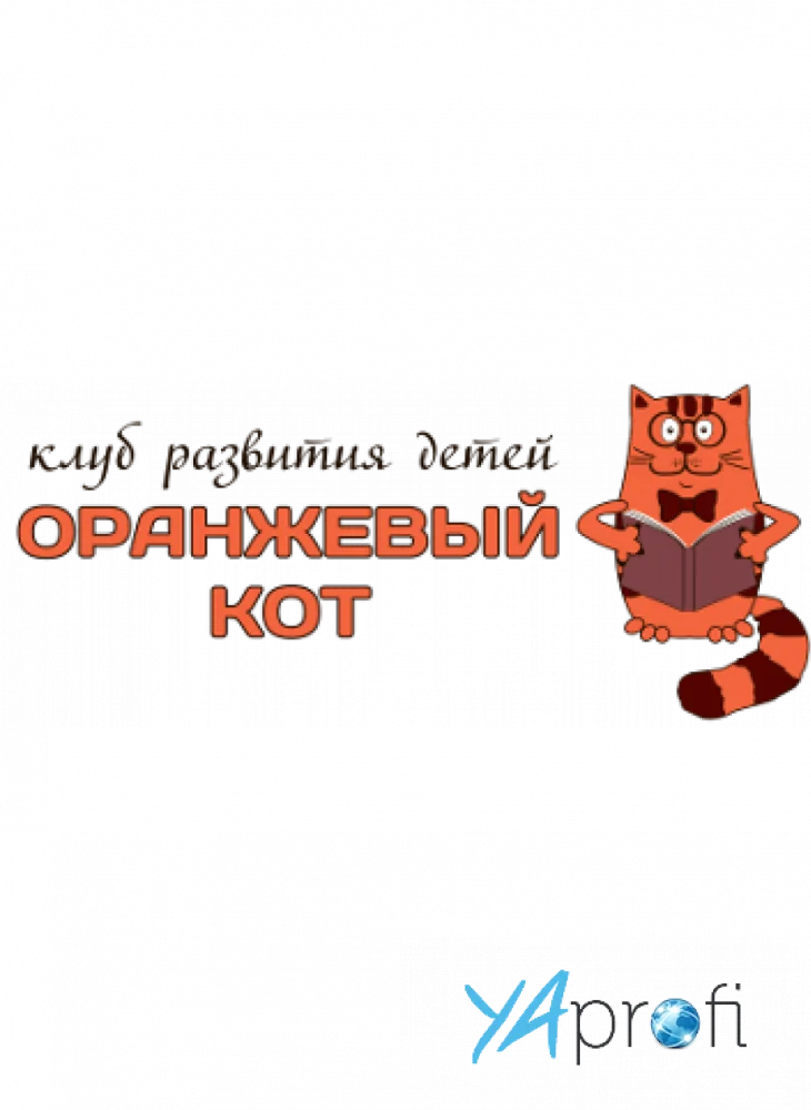 Оранжевый кот