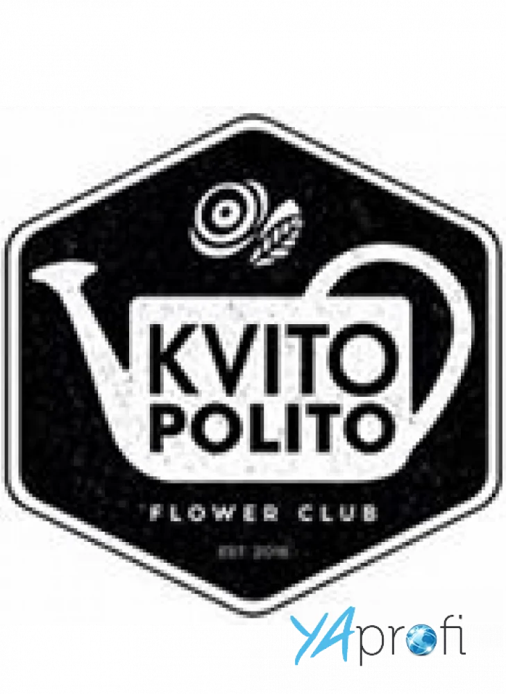 Kvito Polito School
