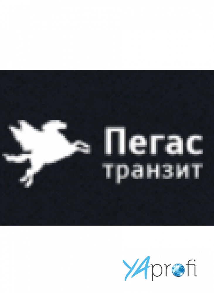 Пегас транзит