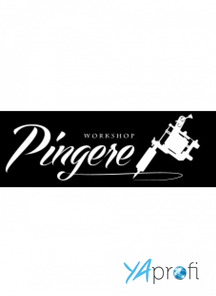 Pingere workshop
