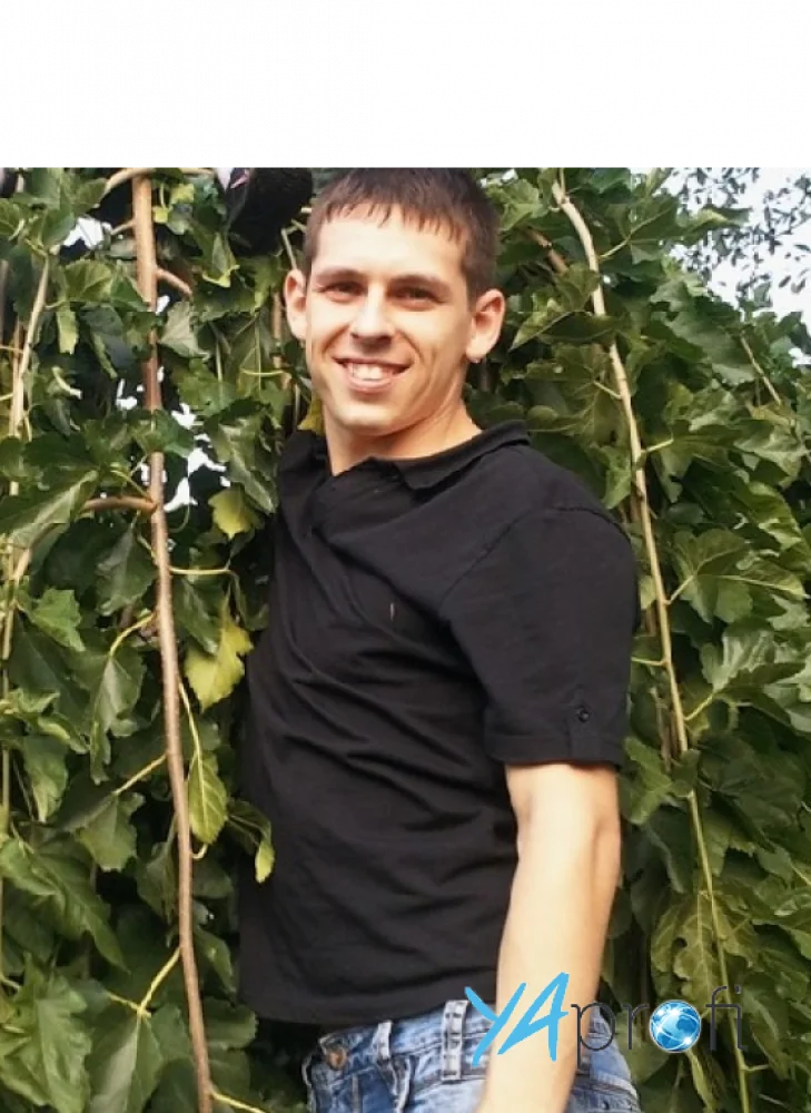 Владимир Кулиш 