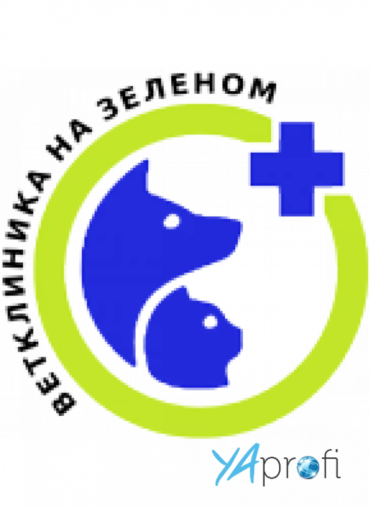 Ветклинника на Зеленом