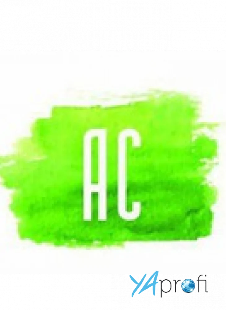 Академия Совершенства