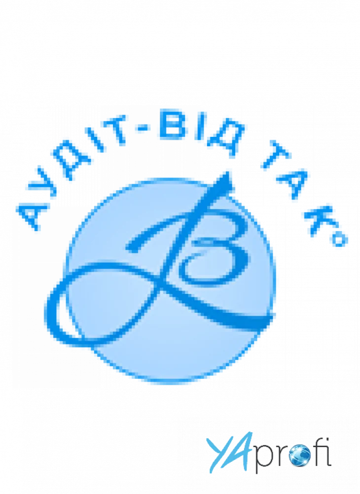 «Аудит-Вид и Ко»