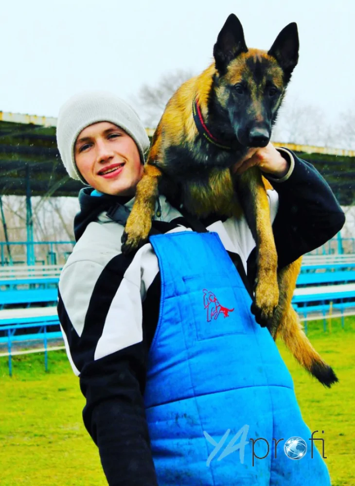 Площадка DogCity ZP (Максим Карнаух)