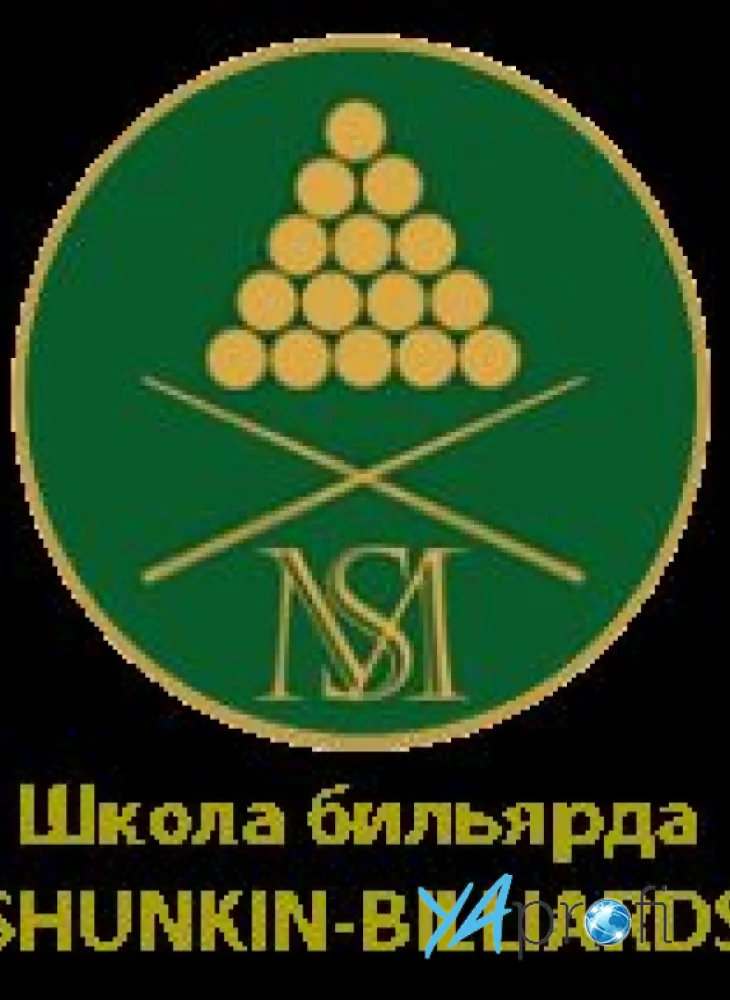 Школа Бильярда "shunkin-billiards"