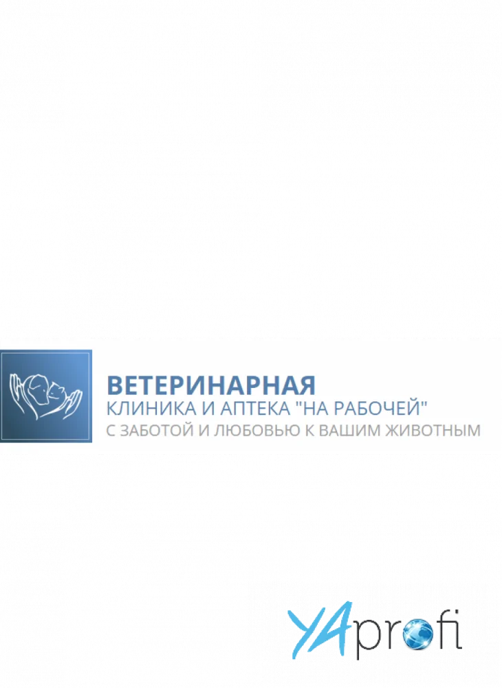 ВЕТЕРИНАРНАЯ КЛИНИКА И АПТЕКА "НА РАБОЧЕЙ"