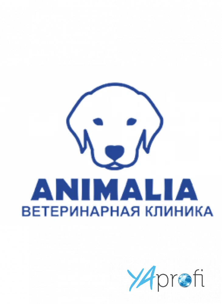 Animalia