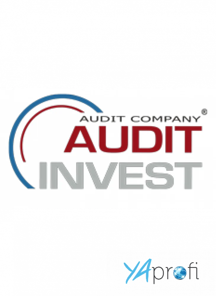 "Аудит-Инвест"