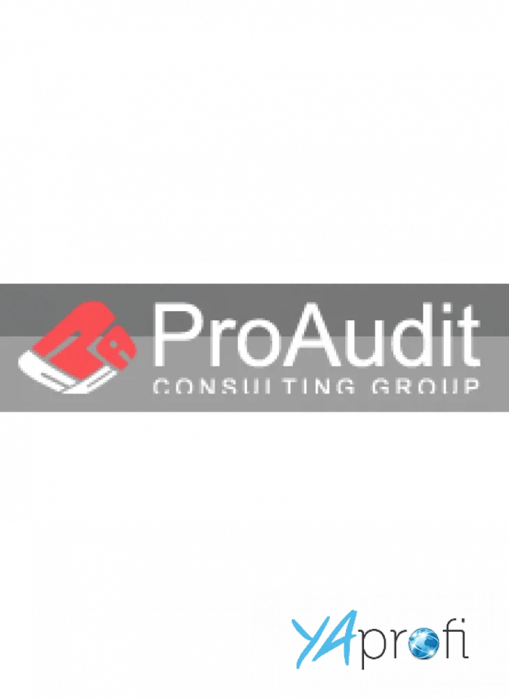 ProAudit