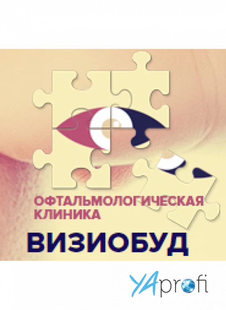Визиобуд