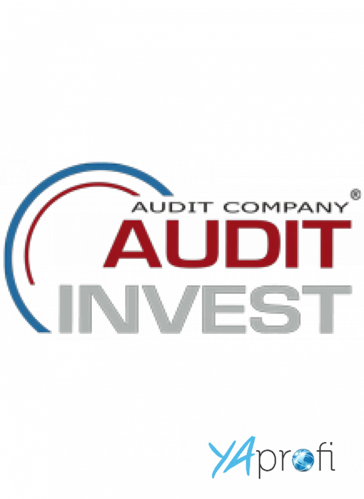 Аудит-Инвест