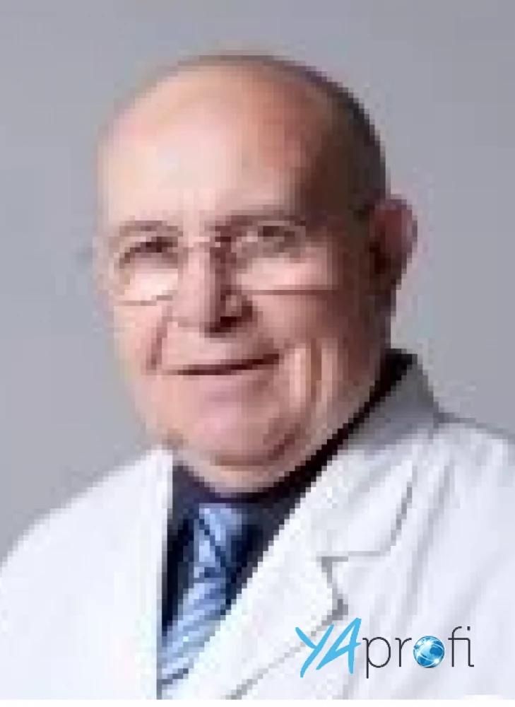 Бернштейн Цви (LISOD)