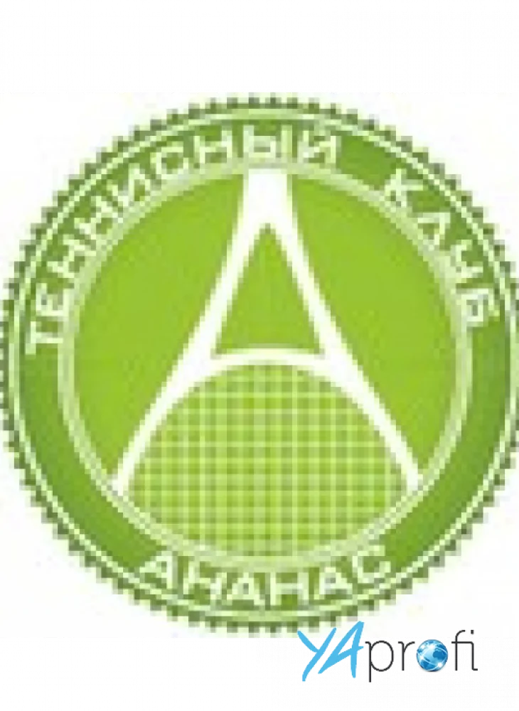Теннисные корты в клубе «АНАНАС»
