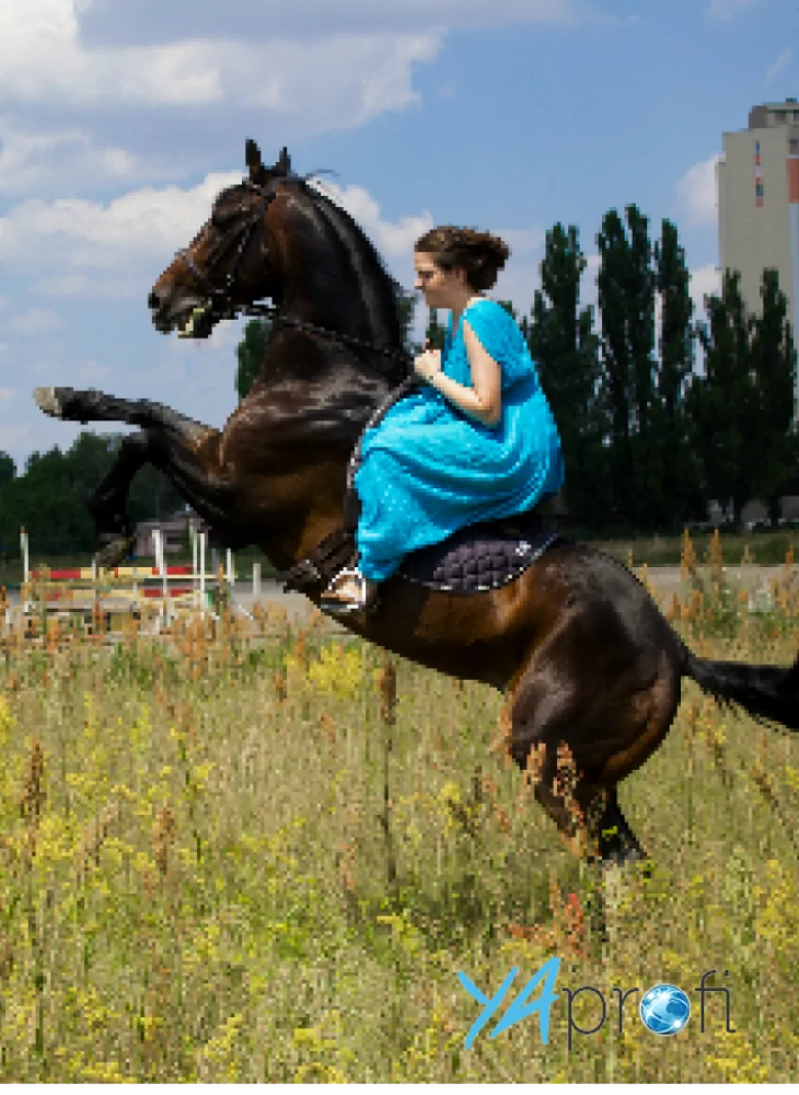 Александр Гордиенко