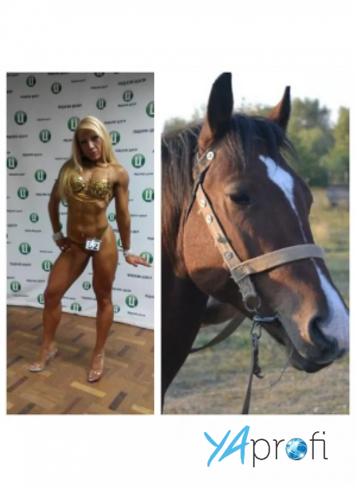 Елена Терещенко