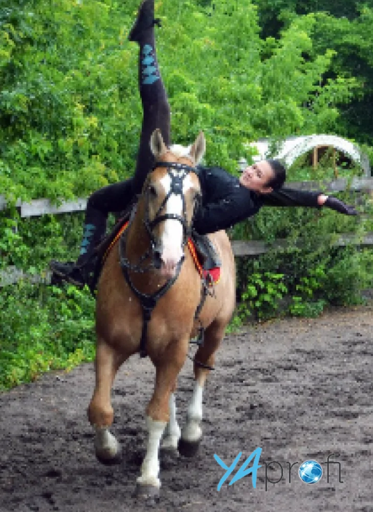 Даниэлла Шихабутдинова