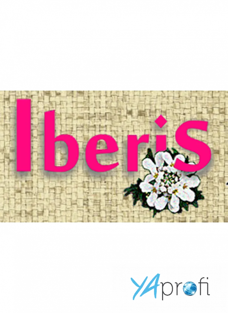 Iberis