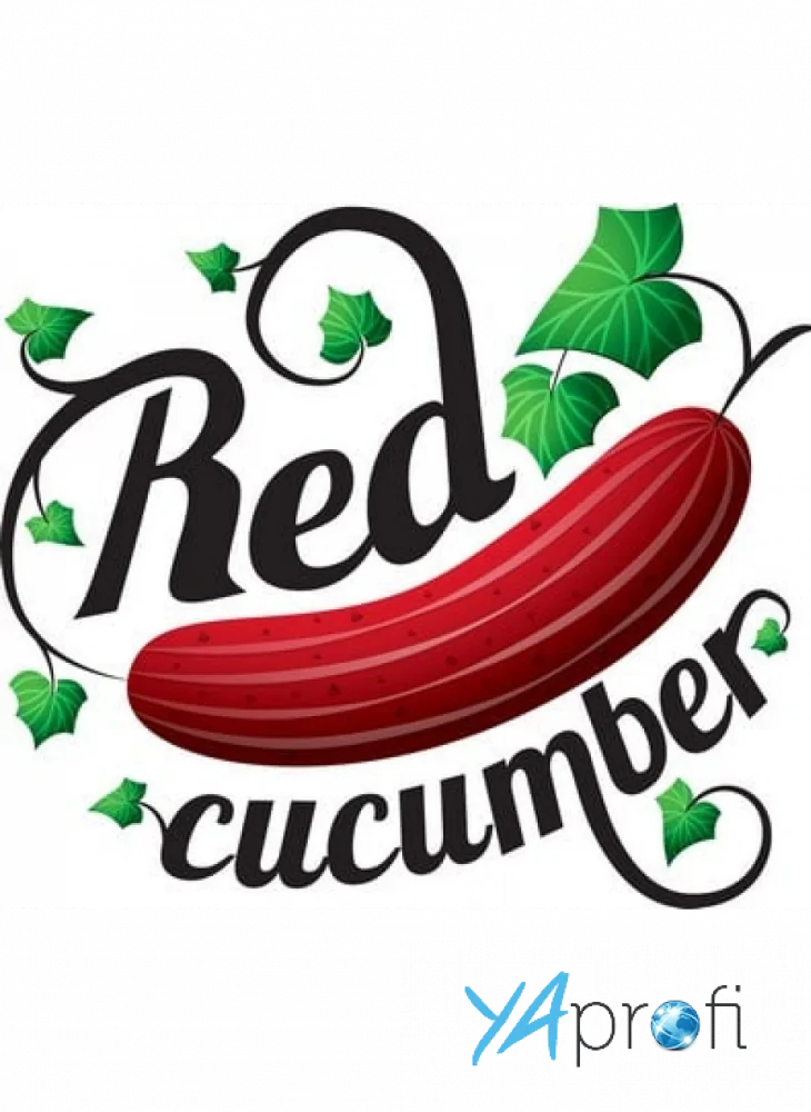 Red Cucumber