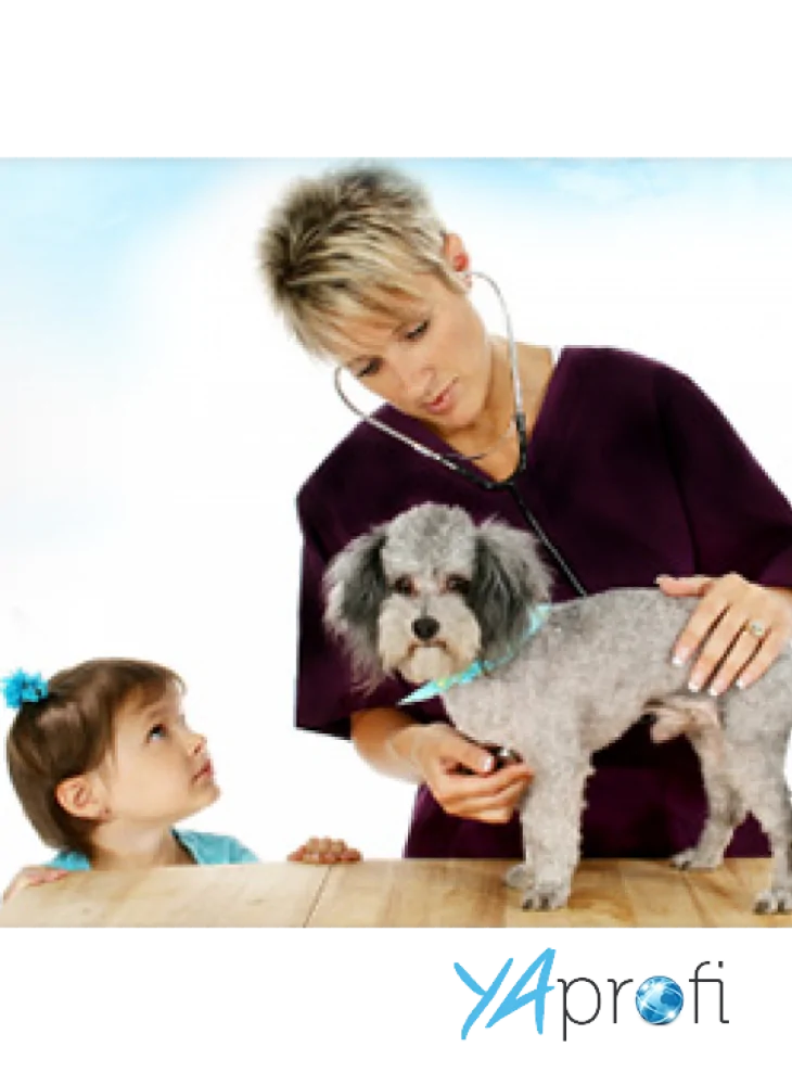 Ветеринарная клиника Шанс