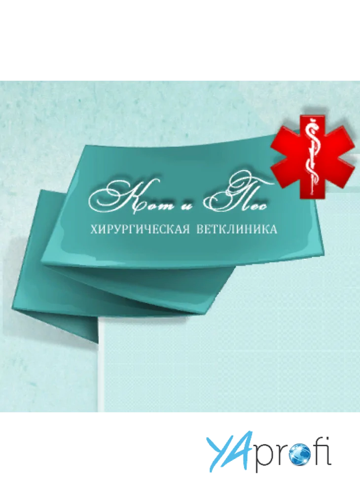 Ветеринарная клиника "Кот и Пес"