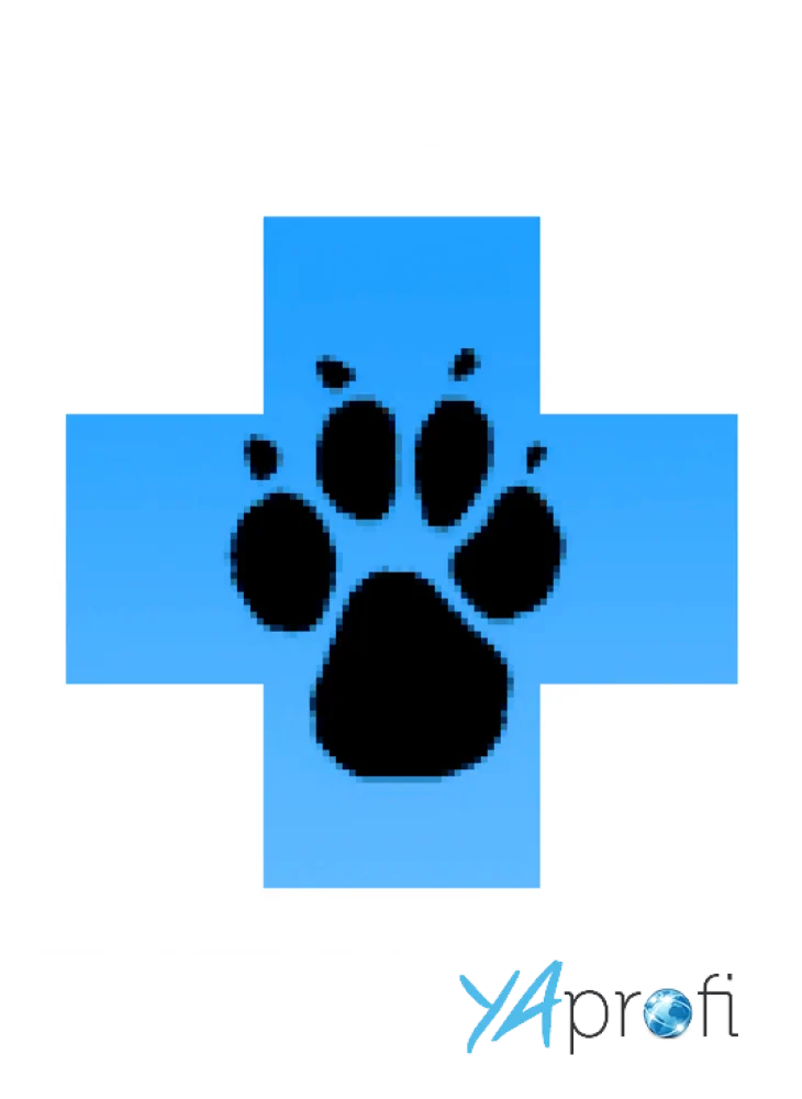 Ветеринарная скорая помощь "На Соколе"