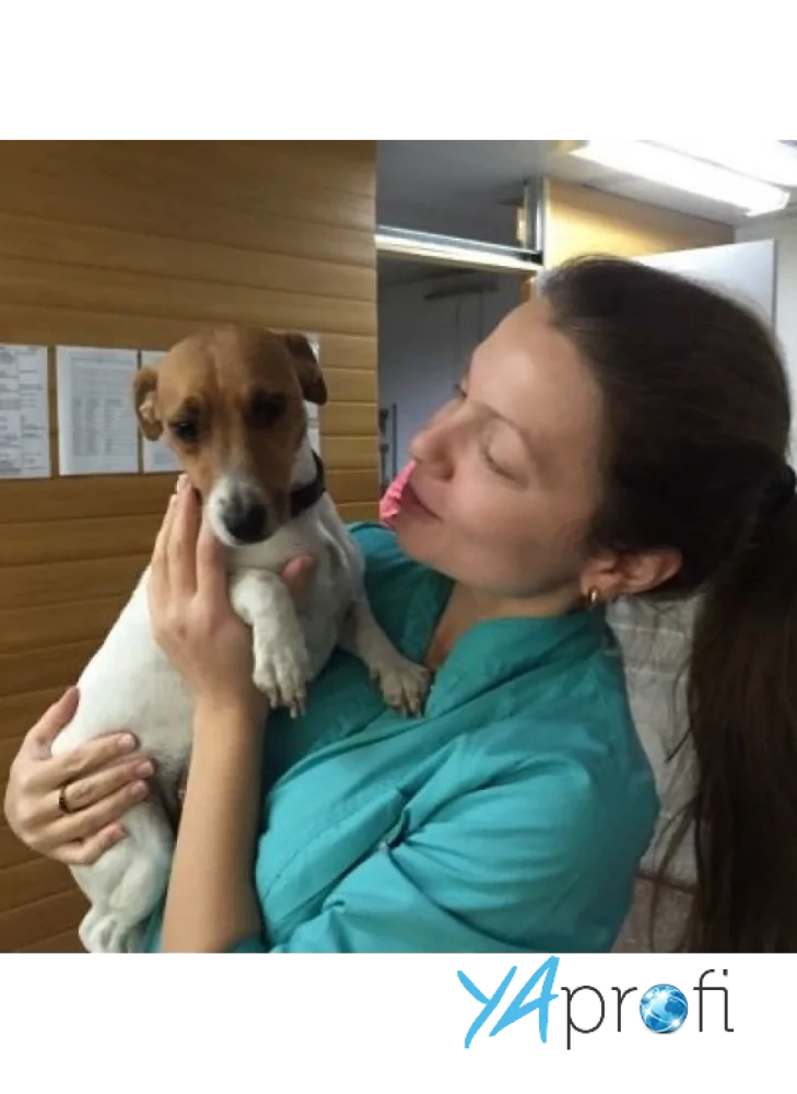 Заикина Анна Валериевна (Звiрятко)