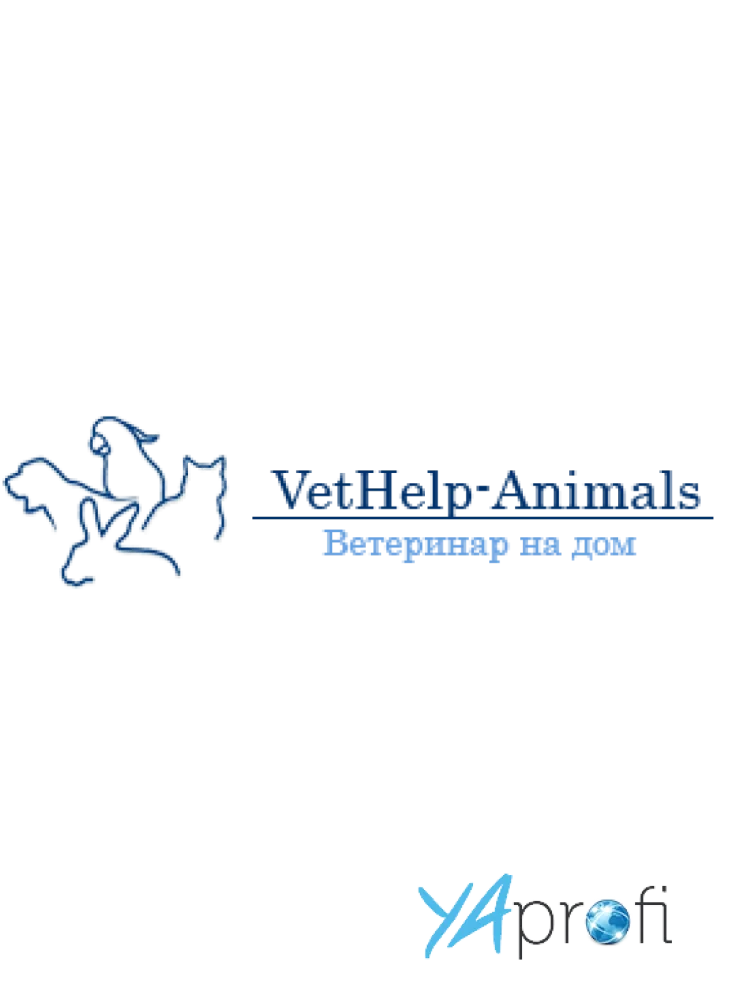 VetHelp-Animals