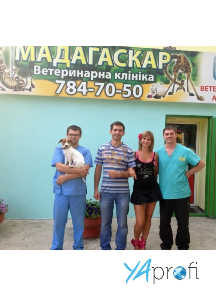 Ветеринарная клиника "Мадагаскар" 
