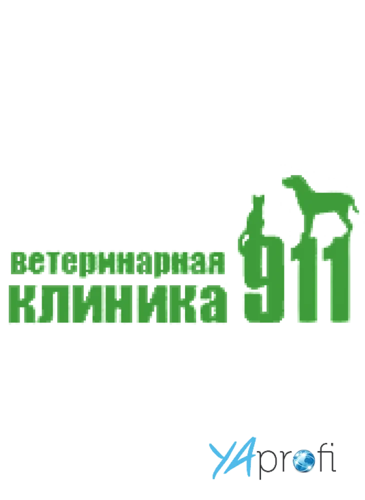 Ветеринарная клиника «911»