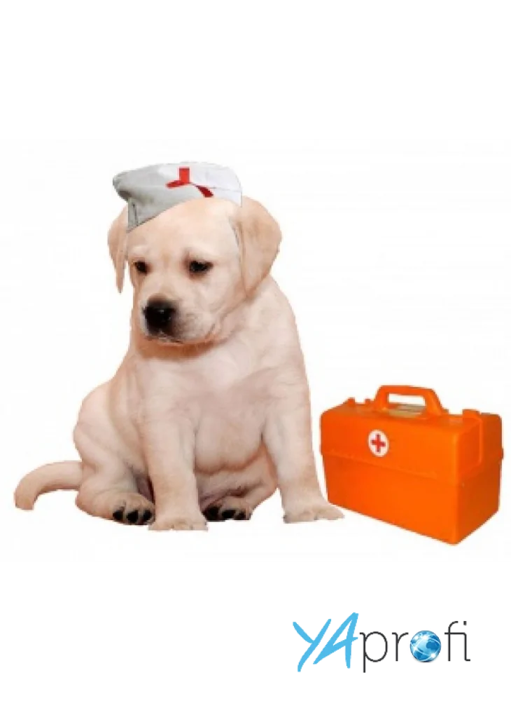 Ветеринарная клиника "Эскулап"