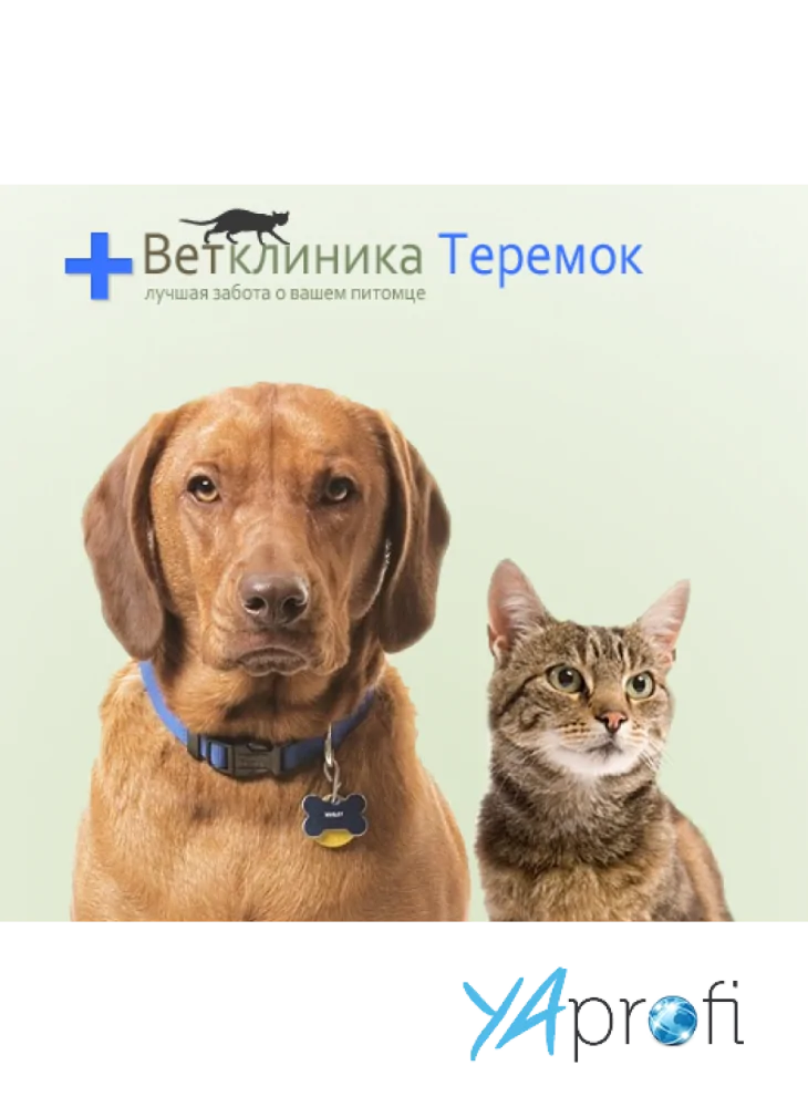 Ветклиника "Теремок"