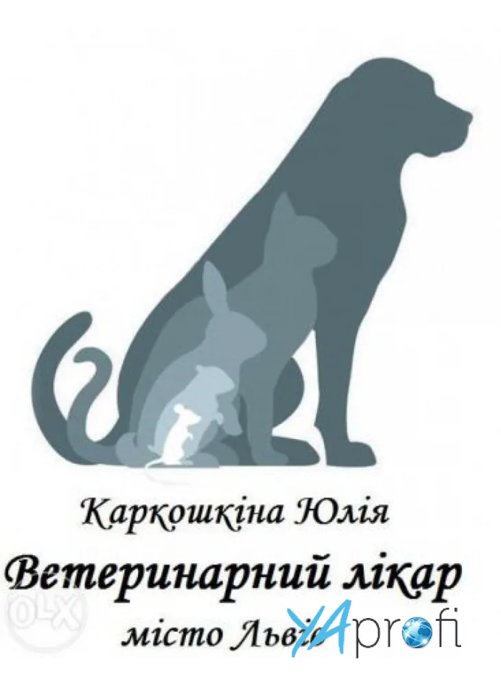 Юлія Каркошкіна