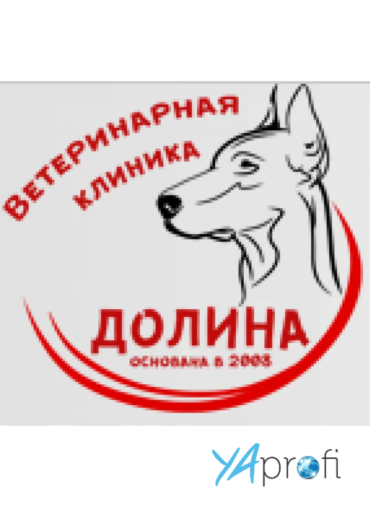 Ветеринарная клиника «Долина»