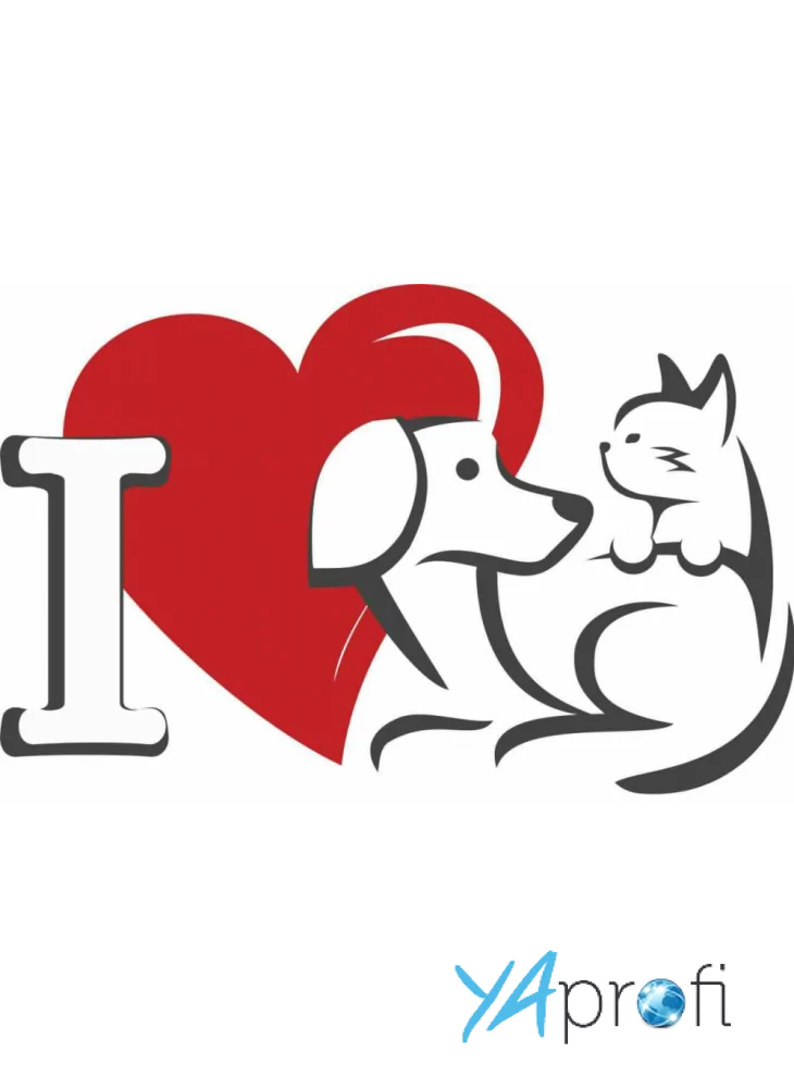 Ветеринарная клиника на Офицерской