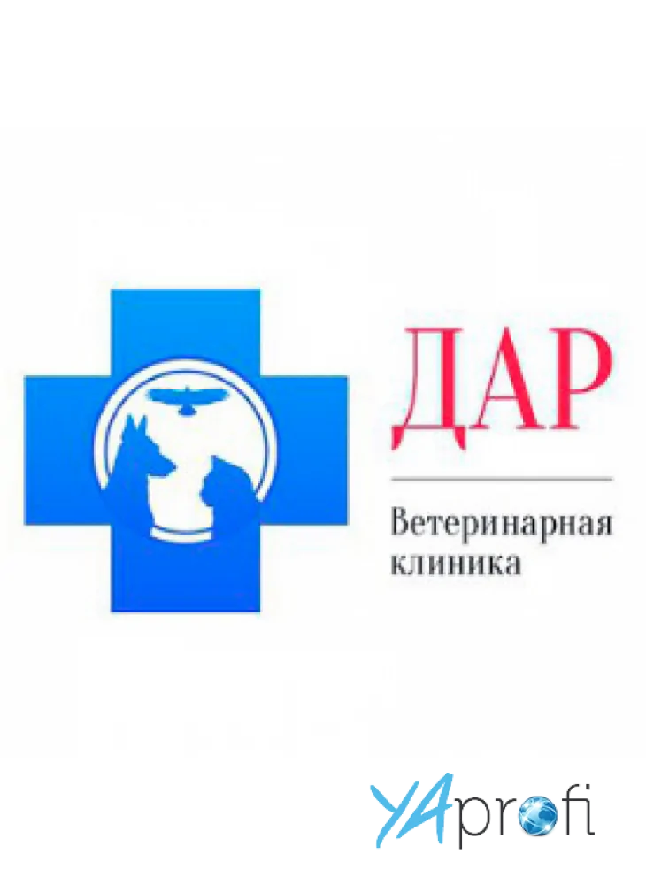 Дар, ветеринарная клиника