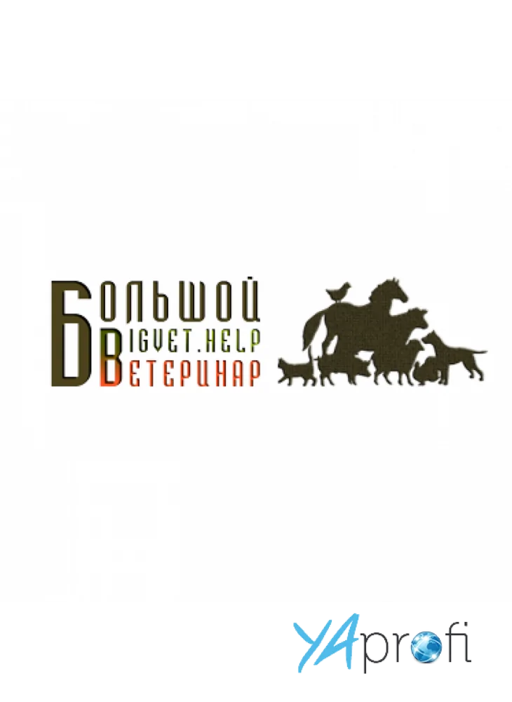 "Большой ветеринар"