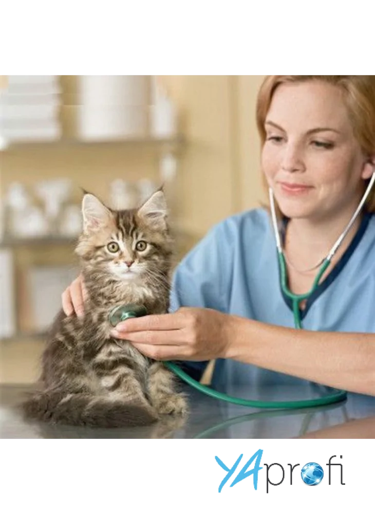 Ветеринарная клиника Тина﻿