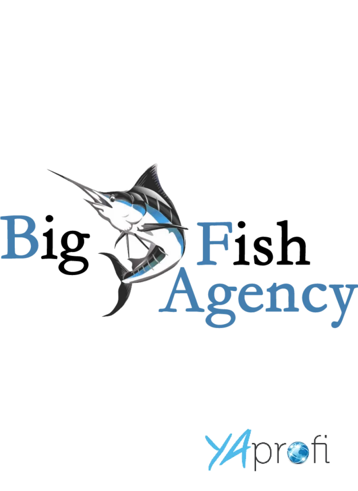 Big Fish Agency