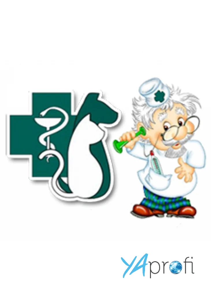 Ветеринарная клиника «Айболит»