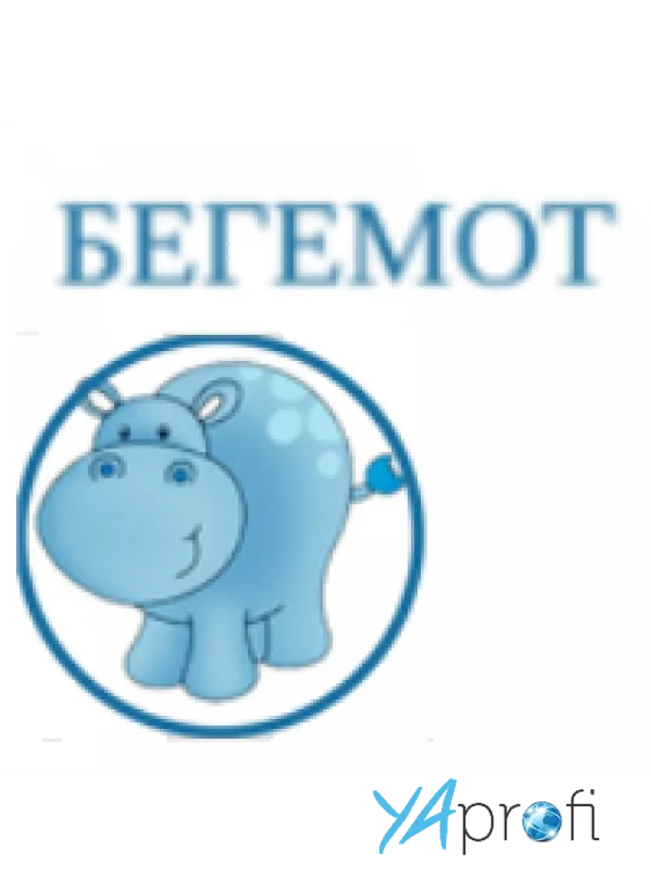 "Бегемот" (центр современного развития)