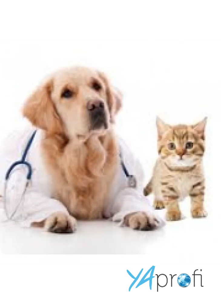 Veterinary Center "Jupiter"