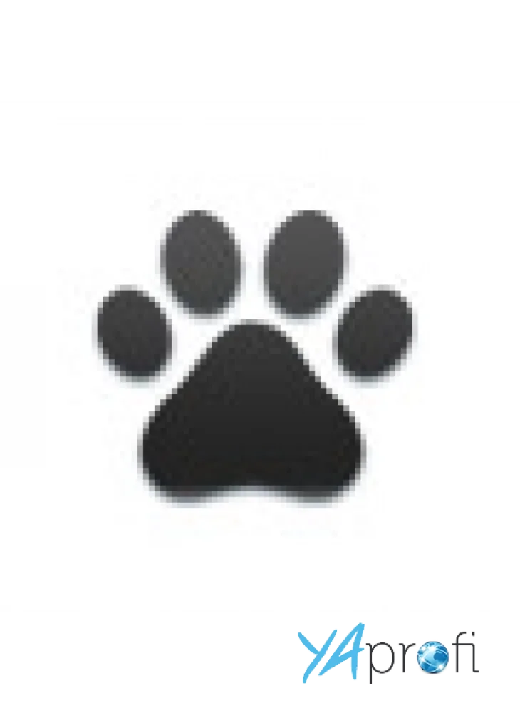 Передержка животных